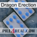 Dragon Erection 20